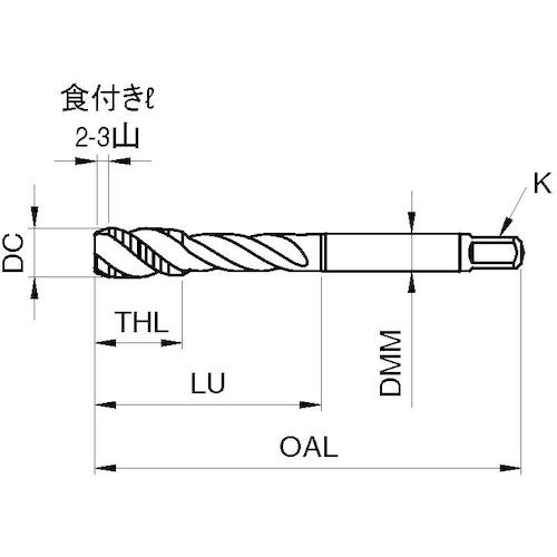 大画像