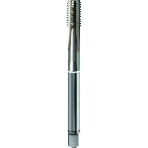 GUHRING 鋳鉄、アルミ用メートル細目ねじ用タップ レギュラ M10×1.25