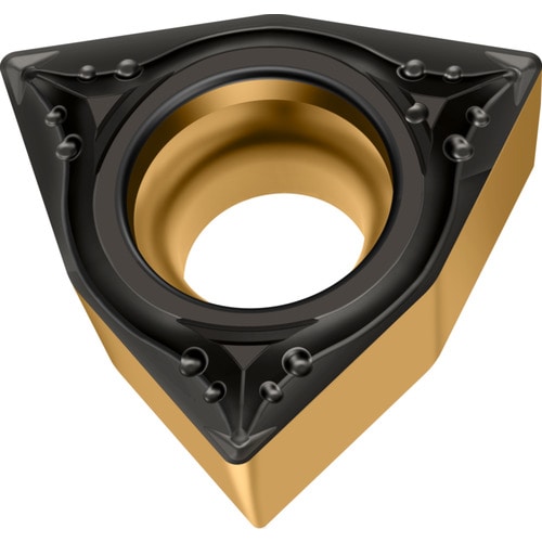Walter ターニング用 トリゴンポジチップ 80° WPP20G